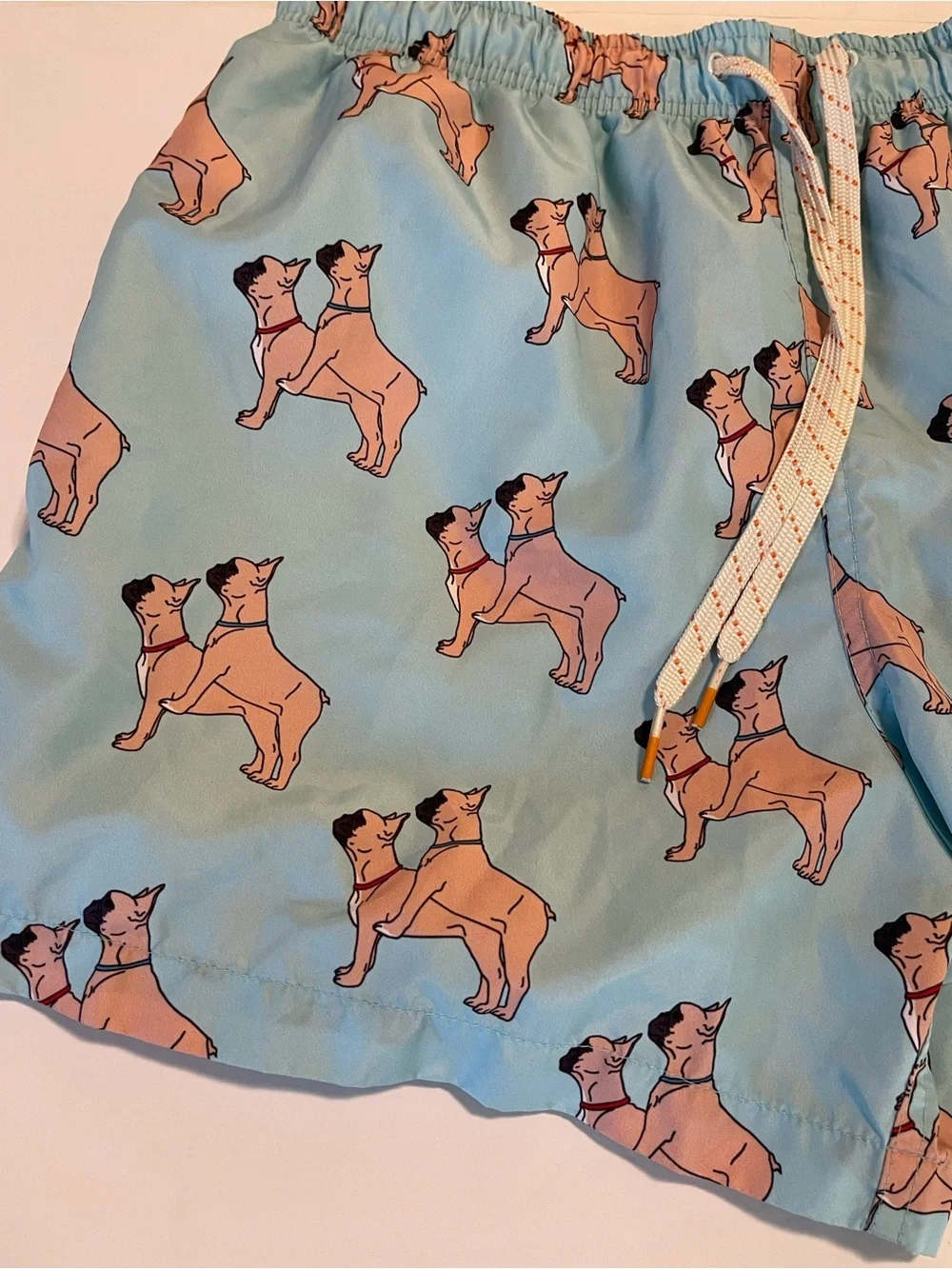 Ambsn Mens Swim Shorts Trunk Lined Medium French Bulldog Print Pockets Funny